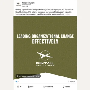 Pintail Solutions Social