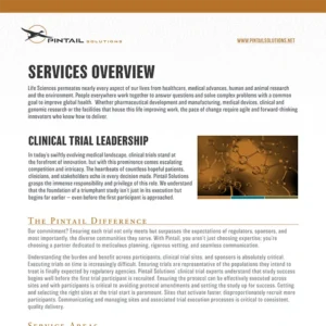 Pintail Solutions