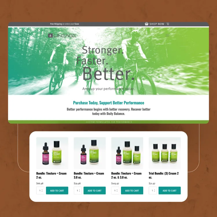 Ecommerce